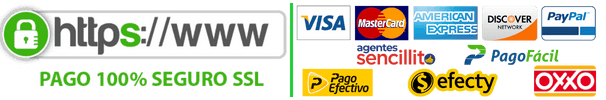 Pago-seguro-mini-1.png